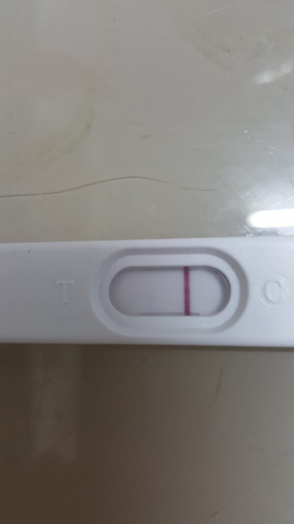 Image #1 from אורנה שביט